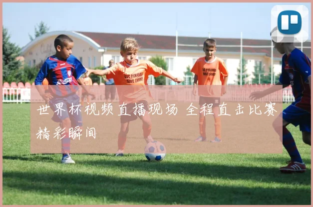 世界杯视频直播现场 全程直击比赛精彩瞬间