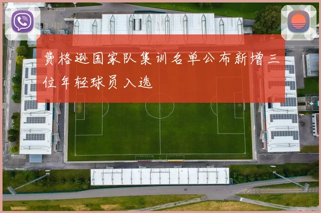 费格逊国家队集训名单公布新增三位年轻球员入选