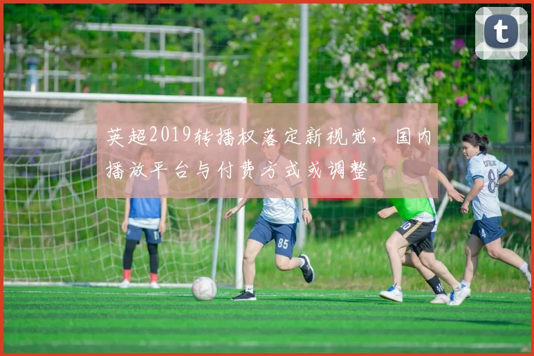 英超2019转播权落定新视觉，国内播放平台与付费方式或调整