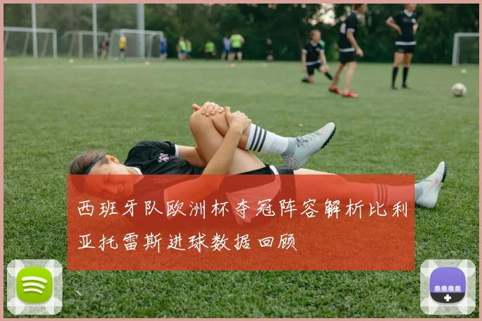 西班牙队欧洲杯夺冠阵容解析比利亚托雷斯进球数据回顾