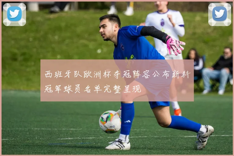 西班牙队欧洲杯夺冠阵容公布新科冠军球员名单完整呈现