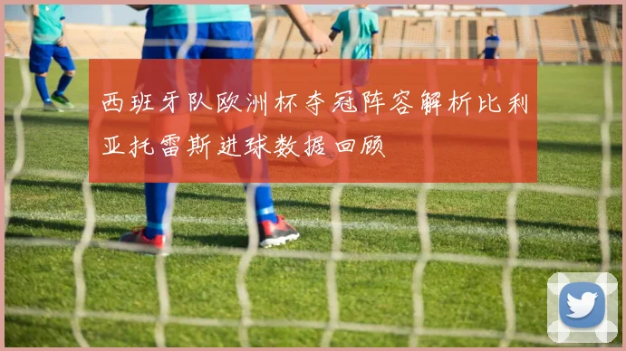 西班牙队欧洲杯夺冠阵容解析比利亚托雷斯进球数据回顾