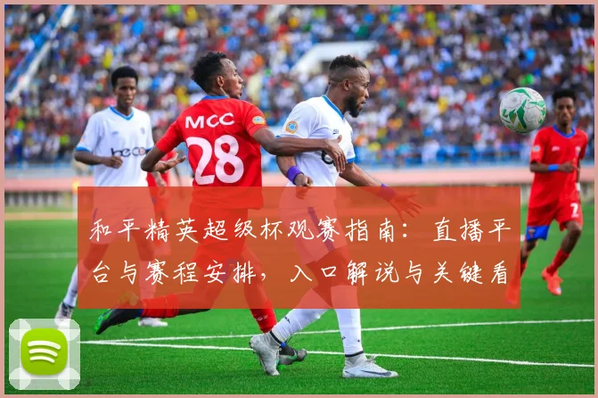 和平精英超级杯观赛指南：直播平台与赛程安排，入口解说与关键看点一览