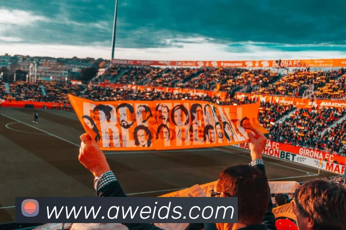 多媒体互动体验