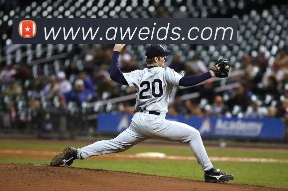 数据防护可视化